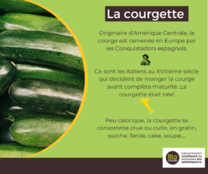 Lire la suite à propos de l’article La courgette c’est de saison