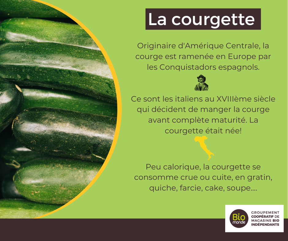 You are currently viewing La courgette c’est de saison