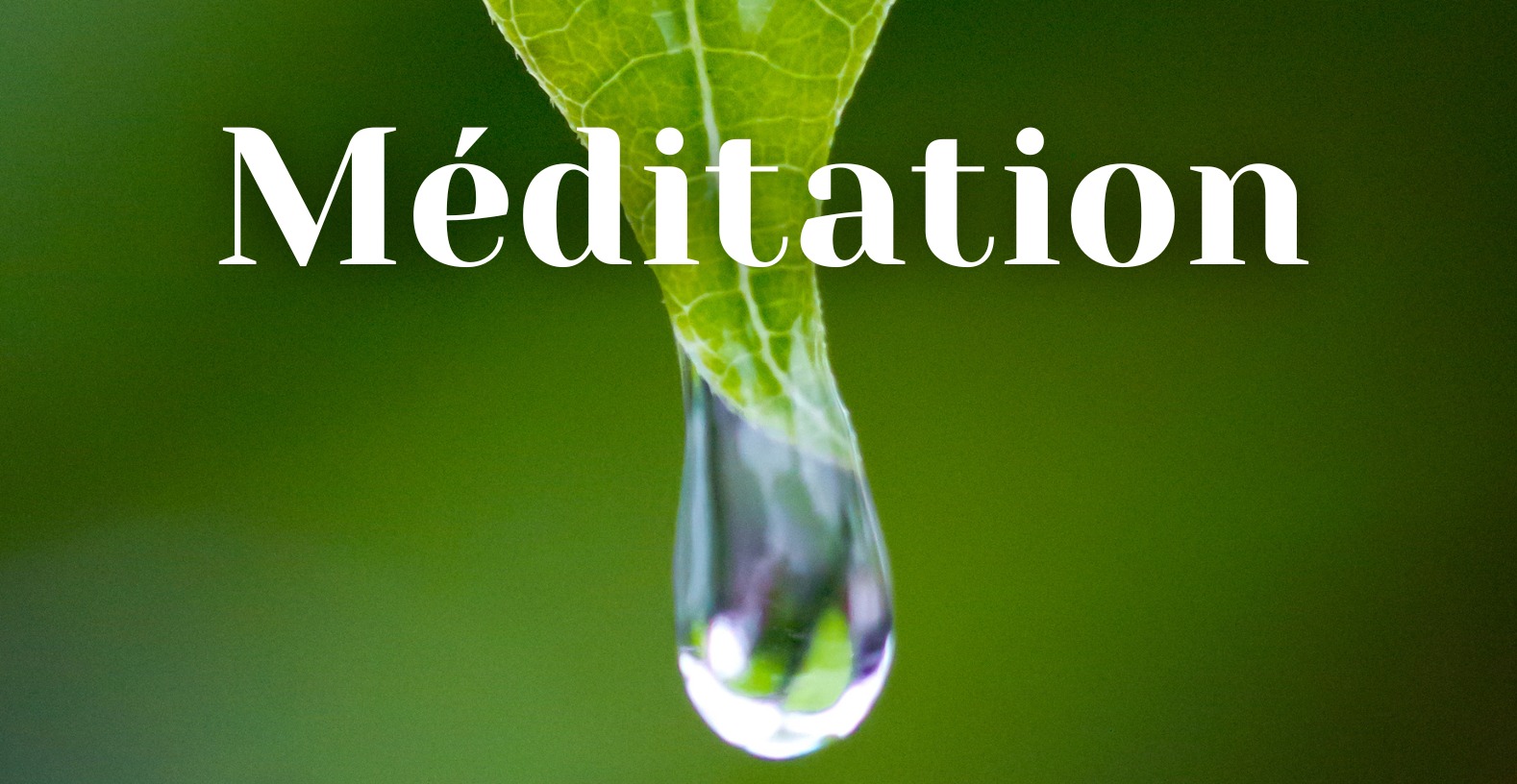 Lire la suite à propos de l’article Atelier méditation dans votre magasin Bio’Zitive