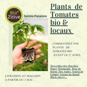 Lire la suite à propos de l’article Commande de plants de tomates