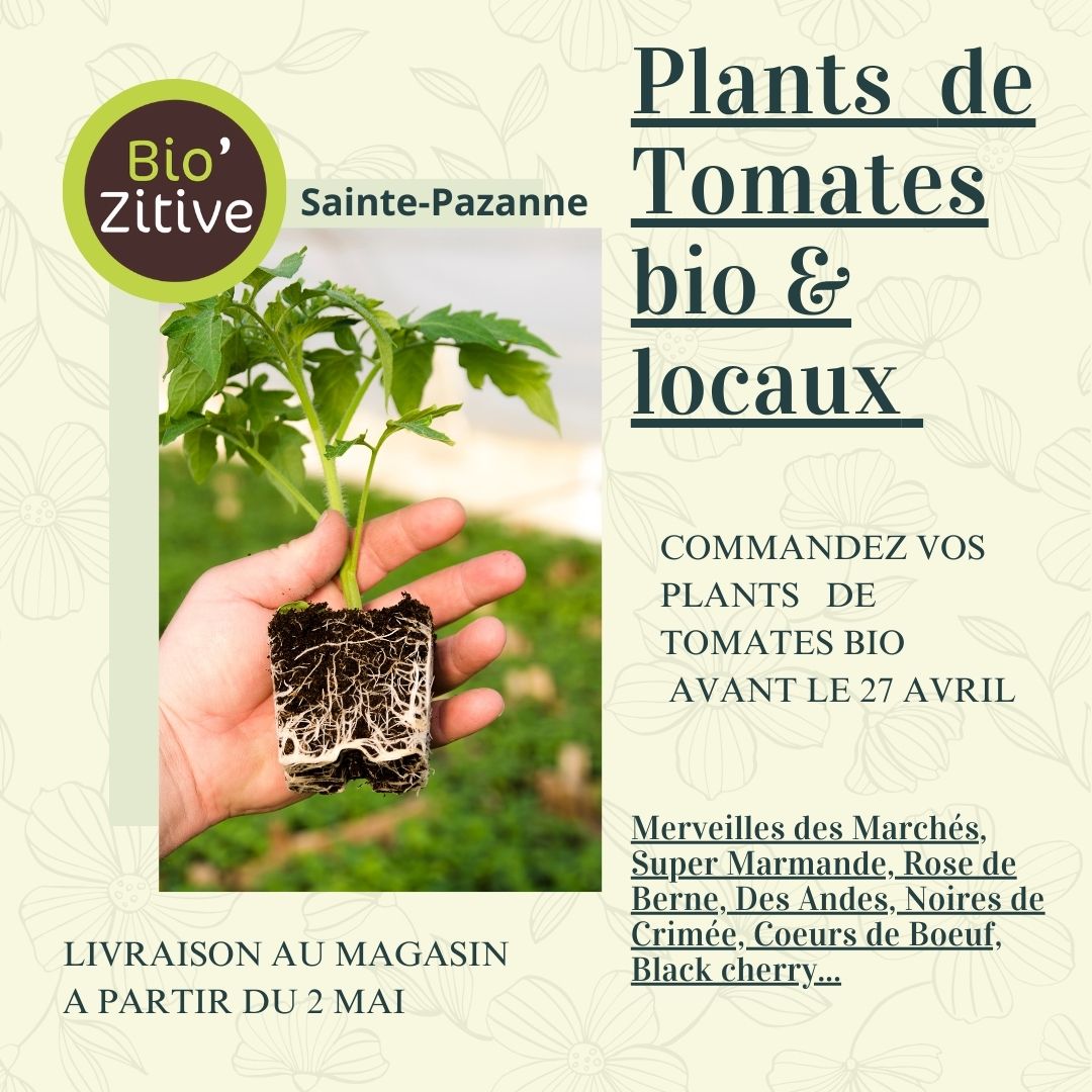 You are currently viewing Commande de plants de tomates